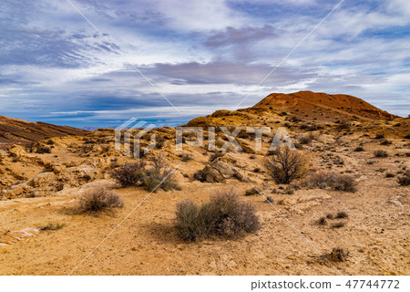 Desert Trails Desert Trails 47744772