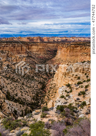 Deep Sandstone Canyon Deep Sandstone Canyon 47744782