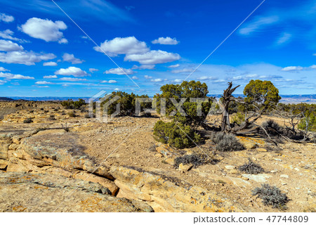 Top of the Ridge 47744809