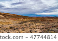 Southwest Desertscape 47744814