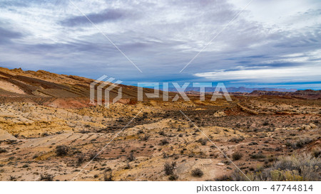 Southwest Desertscape 47744814