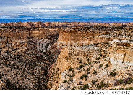 Sandstone Canyonlands 47744817