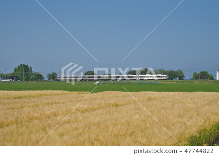 湖國家的6行大麥 47744822