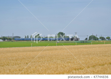 6 row barley of lake country 47744836