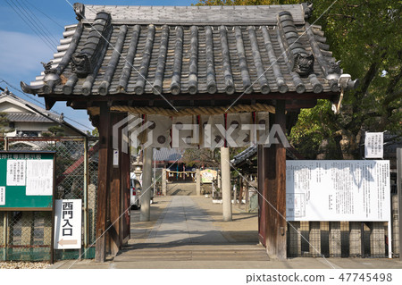 [Shiba神社] Ueda 7大阪松原市 47745498
