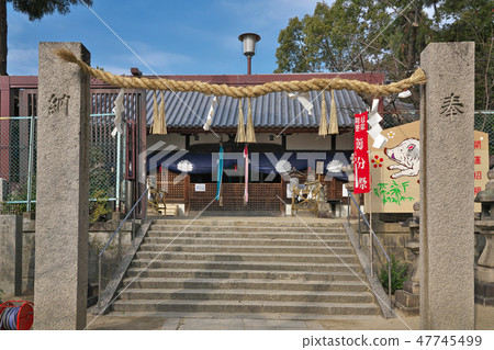 [Shiba神社] Ueda 7大阪松原市 47745499