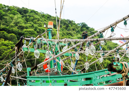 Spotlights was hanging on a fishing boat and squid 47745600