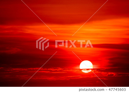 sunset colorful flame cloud silhouette tree on sky sunset colorful flame cloud silhouette tree on sky 47745603