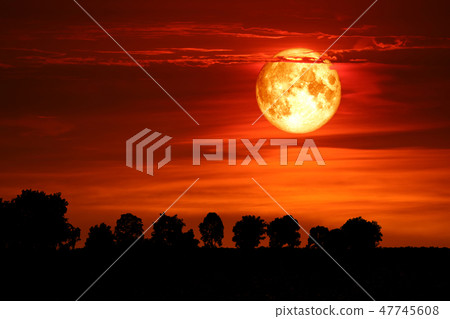 super blood snow moon back tree on dark red sky super blood snow moon back tree on dark red sky 47745608