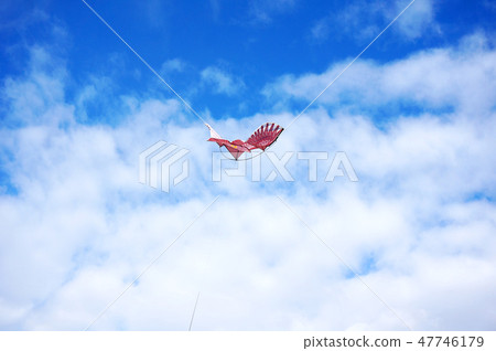 風箏 47746179
