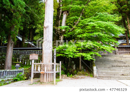 長野和窪大社神社有限公司和宮一之 長野和窪大社神社有限公司和宮一之 47746329