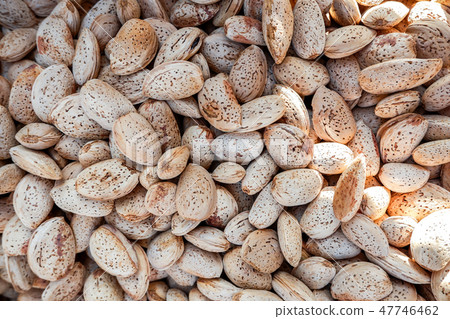A lot of stone-like almonds 47746462
