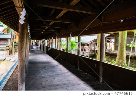 Nagano Suwa Taisha Shrine, Motomiya Futobashi 47746615