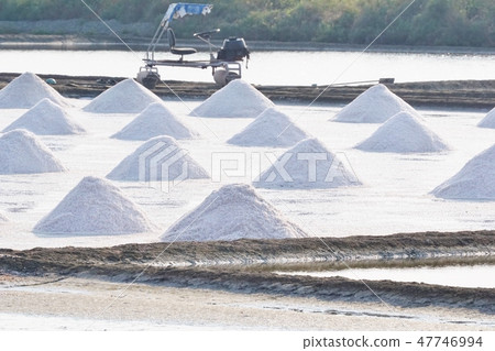 鹽農場在中央泰國看見的泰國 47746994