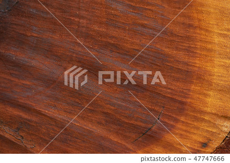 Texture of wood. Texture of wood. 47747666