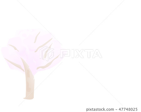 Sakura tree illustration 47748025