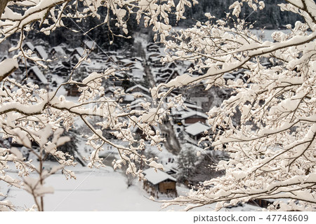 Snow scenery of Shirakawago Snow scenery of Shirakawago 47748609