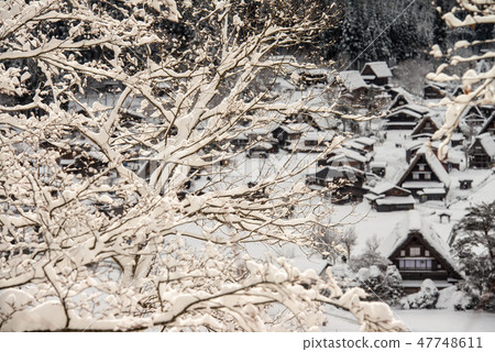 Snow scenery of Shirakawago Snow scenery of Shirakawago 47748611