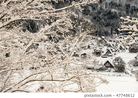 Snow scenery of Shirakawago Snow scenery of Shirakawago 47748612