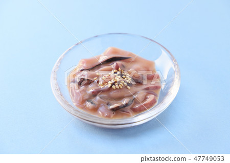 鹽漬的香料 47749053