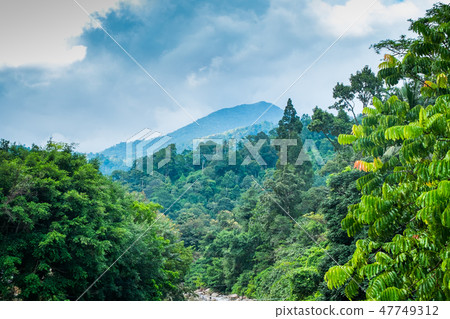 The hill with a complete forest is a beautiful The hill with a complete forest is a beautiful 47749312