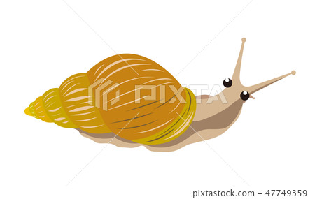 非洲maimai的例證 47749359