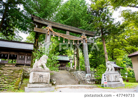 Nagano Suwa shrine company Shunsha Shinku Torii Torii 47749733