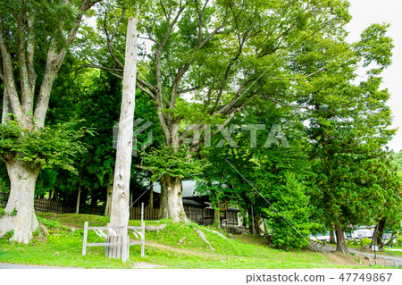 Nagano Suwa shrine company Shinzo Ninomonomiya pillar and main hall Nagano Suwa shrine company Shinzo Ninomonomiya pillar and main hall 47749867