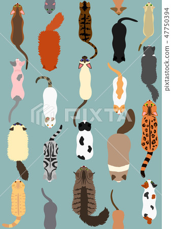 Cat seamless pattern Cat seamless pattern 47750394