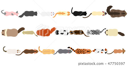 貓邊框設置 貓邊框設置 47750397