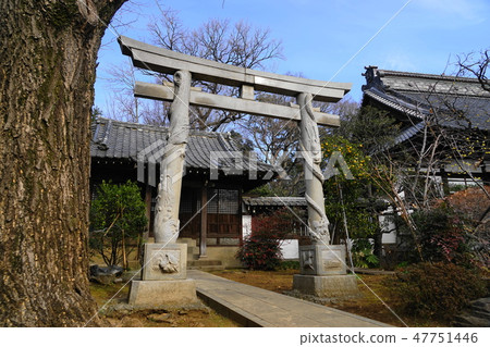 1月Koenji 04 Koenji Temple在區域·Ssangyong Torii 47751446