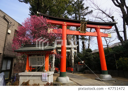 1月阿佐谷08 Mashihashi Inari神社入口和紅梅 1月阿佐谷08 Mashihashi Inari神社入口和紅梅 47751472