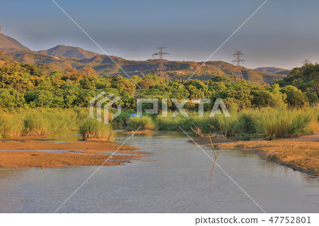 wetland at HA PAK LAI 47752801