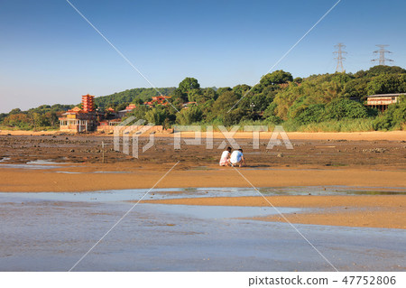 wetland at HA PAK LAI 47752806