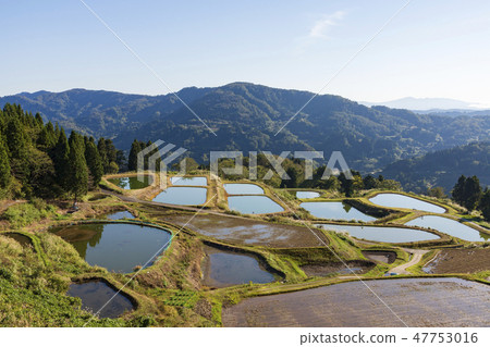 Rice terraces and rice ponds of Yamakoshi 47753016