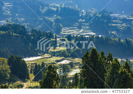 Rice terraces and rice ponds of Yamakoshi Rice terraces and rice ponds of Yamakoshi 47753327