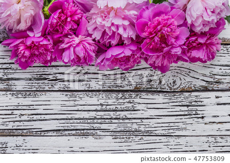 Peony flowers Peony flowers 47753809