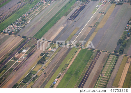 THAILAND BANGKOK AGRICULTURE FIELDS THAILAND BANGKOK AGRICULTURE FIELDS 47753858