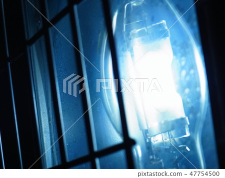 Blue light Blue light 47754500