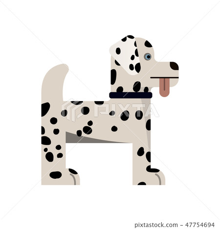 Dalmatian is stand. Dalmatian is stand. 47754694