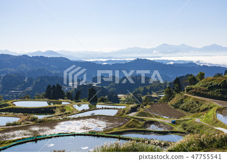 Rice terraces and rice ponds of Yamakoshi Rice terraces and rice ponds of Yamakoshi 47755541