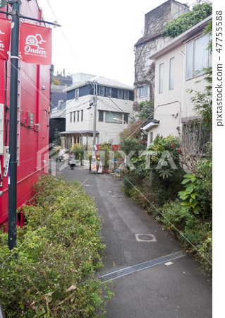 Harajuku Cat Street alley back 47755588