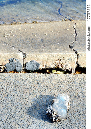 disaster disaster 47757251