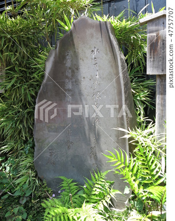 A monument of Masaoka Fumiko in front of Sasano-snow in Negishi, Taito Ward 47757707