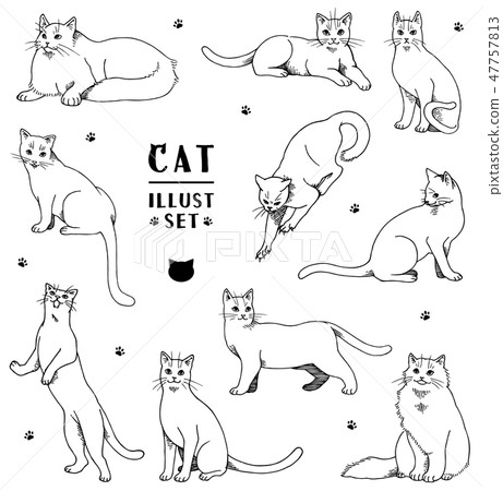 Cat Illustration Material Collection Stock Illustration