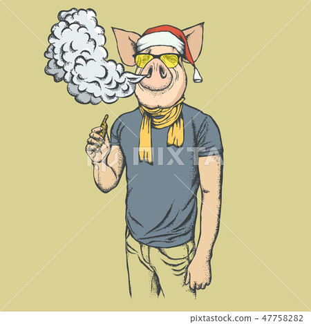 Pig Christmas and New Year vector concept Pig Christmas and New Year vector concept 47758282