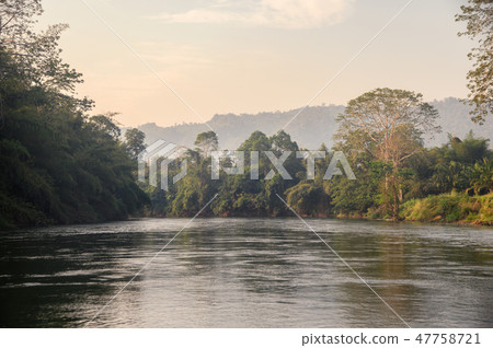 Sailing boat sightseeing of tropical jungle 47758721