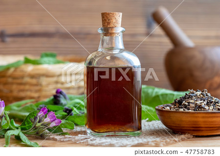 Comfrey tincture with comfrey root and fresh plant Comfrey tincture with comfrey root and fresh plant 47758783