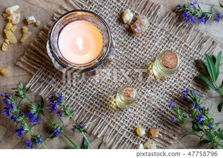 A bottle of hyssop essential oil with fresh hyssop 47758796