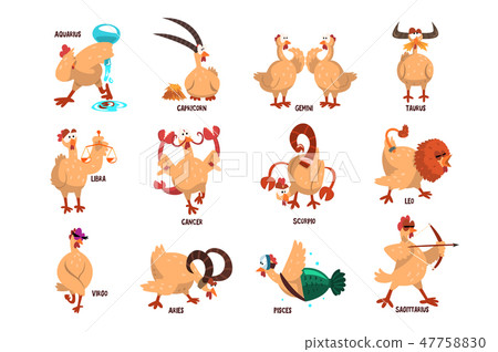 Funny farm chicken showing 12 Zodiac signs. Domestic bird in different actions. Comic horoscope 47758830